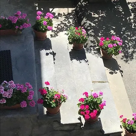 Bilocale Centro Apartman *